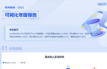 和林微纳2021可视化年度报告